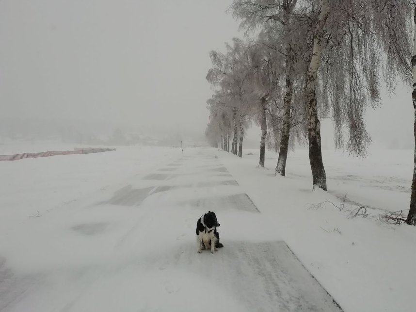 Winter in Sophienhof