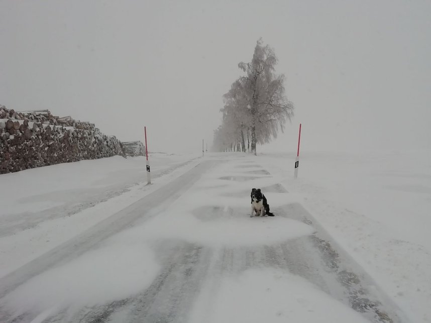 Winter in Sophienhof