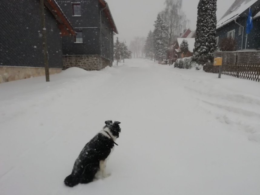 Winter in Sophienhof