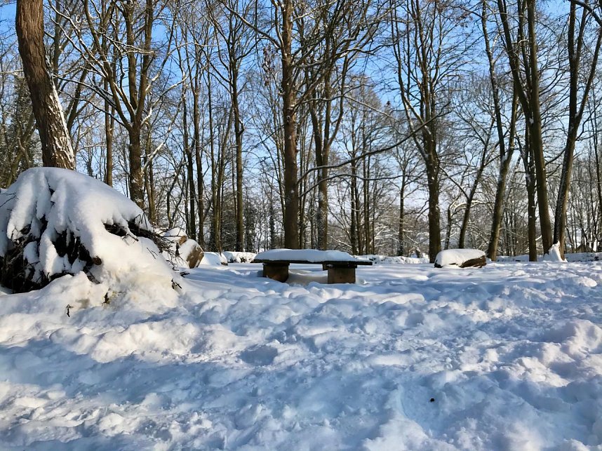 Winterspaziergang durch Nordhausen
