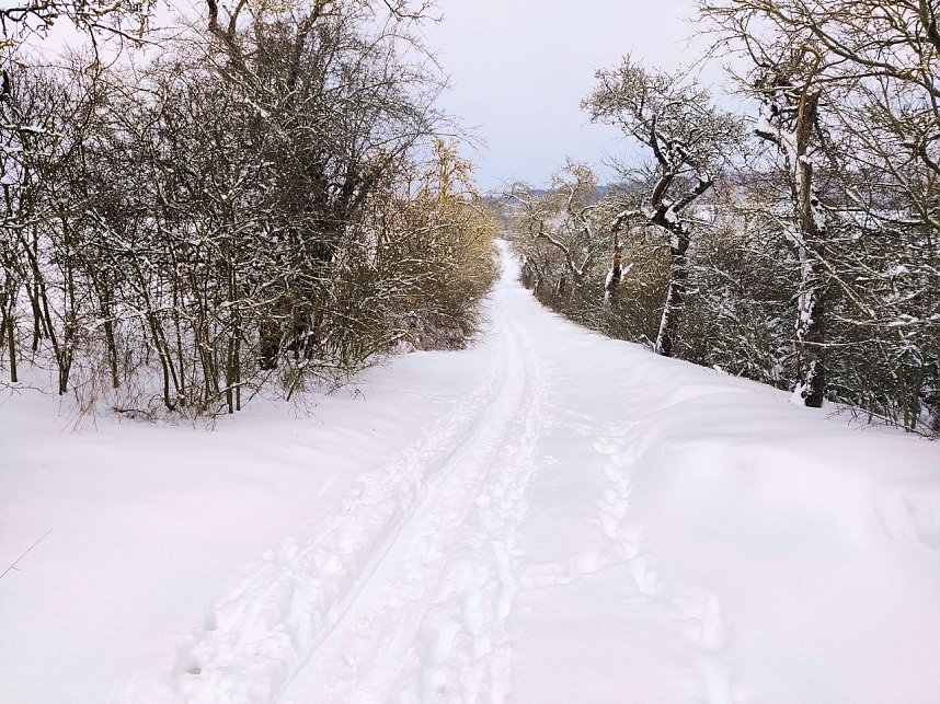 Peter Blei unterwegs in der Windl&uuml;cke