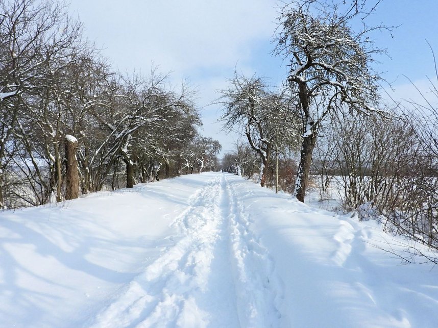 Peter Blei unterwegs in der Windl&uuml;cke