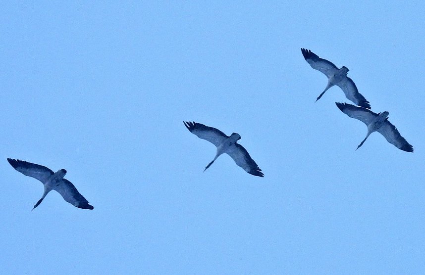 Peter Blei unterwegs in der Windl&uuml;cke