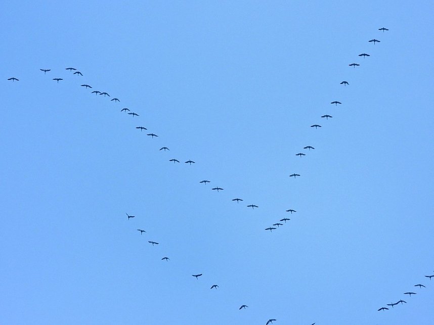Peter Blei unterwegs in der Windl&uuml;cke