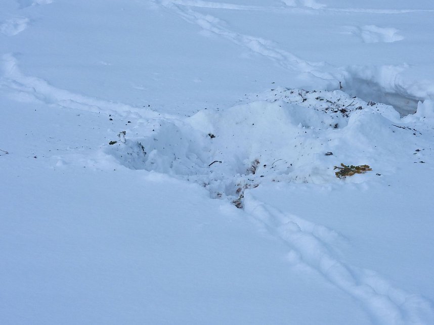Peter Blei unterwegs in der Windl&uuml;cke