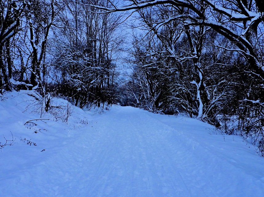 Peter Blei unterwegs in der Windl&uuml;cke