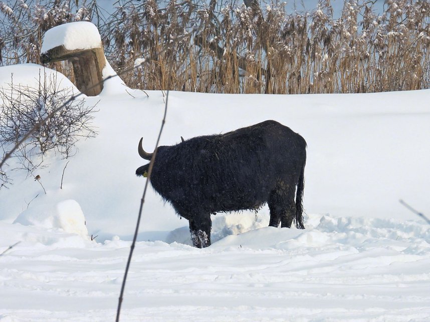 Peter Blei unterwegs in der Windl&uuml;cke