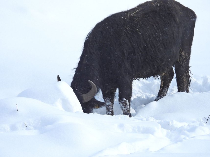 Peter Blei unterwegs in der Windl&uuml;cke