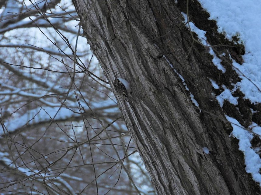Peter Blei unterwegs in der Windl&uuml;cke