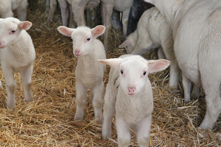 Helmut Mei&szlig;ner wei&szlig; nicht mehr, wie es weitergehen soll
