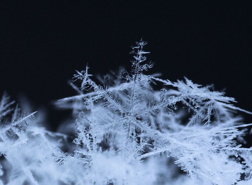 So klein und soviel Macht