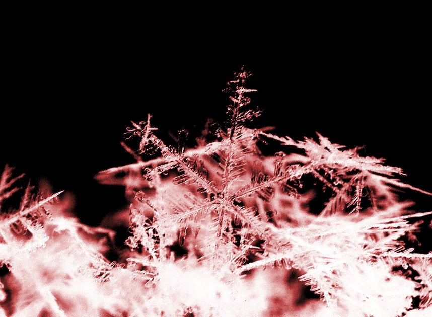 So klein und soviel Macht