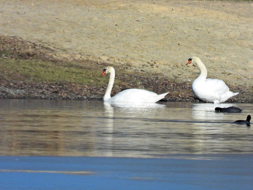 Ausfl&uuml;ge am Kiesschacht