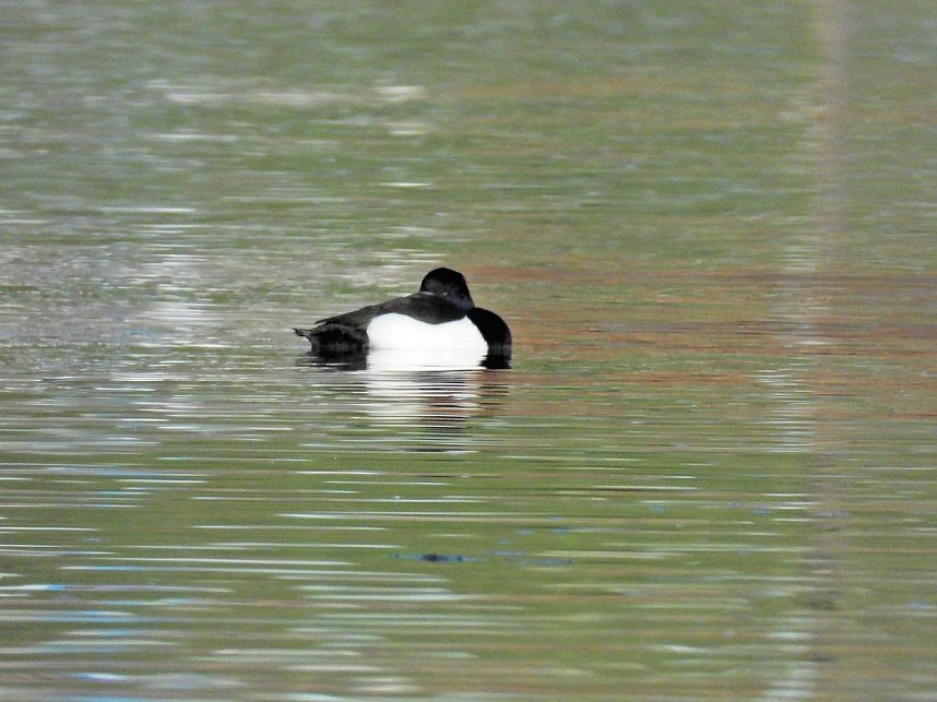 Ausfl&uuml;ge am Kiesschacht