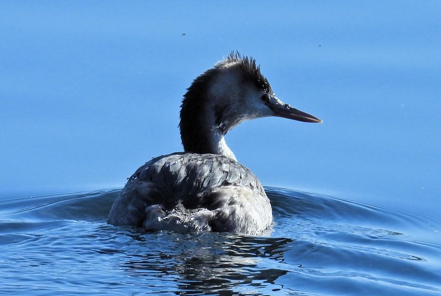 Ausfl&uuml;ge am Kiesschacht