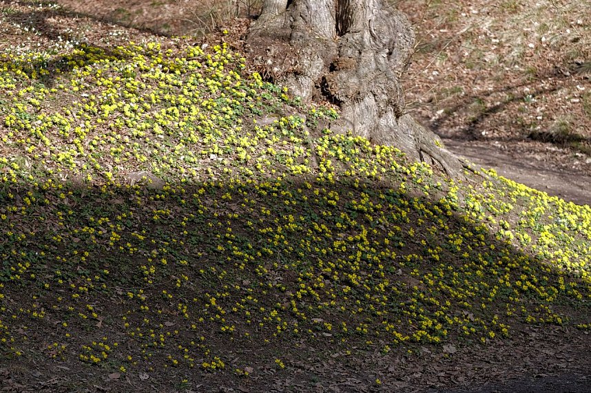 Peter Blei unterwegs im Park Hohenrode