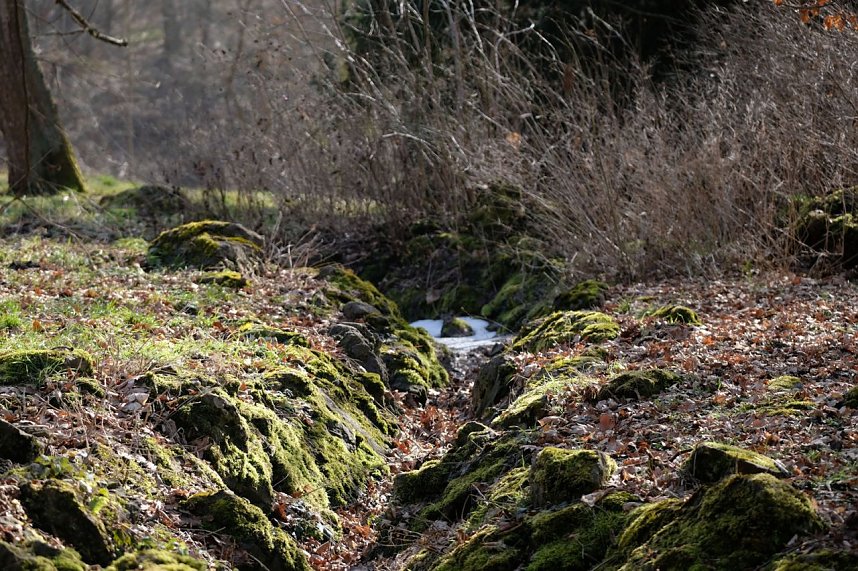 Peter Blei unterwegs im Park Hohenrode