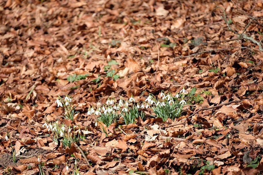 Peter Blei unterwegs im Park Hohenrode
