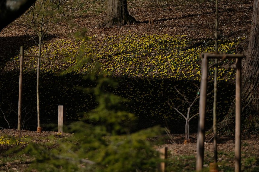 Peter Blei unterwegs im Park Hohenrode