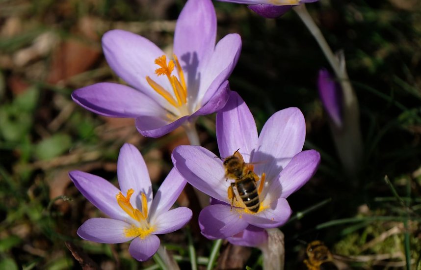 Peter Blei unterwegs im Park Hohenrode