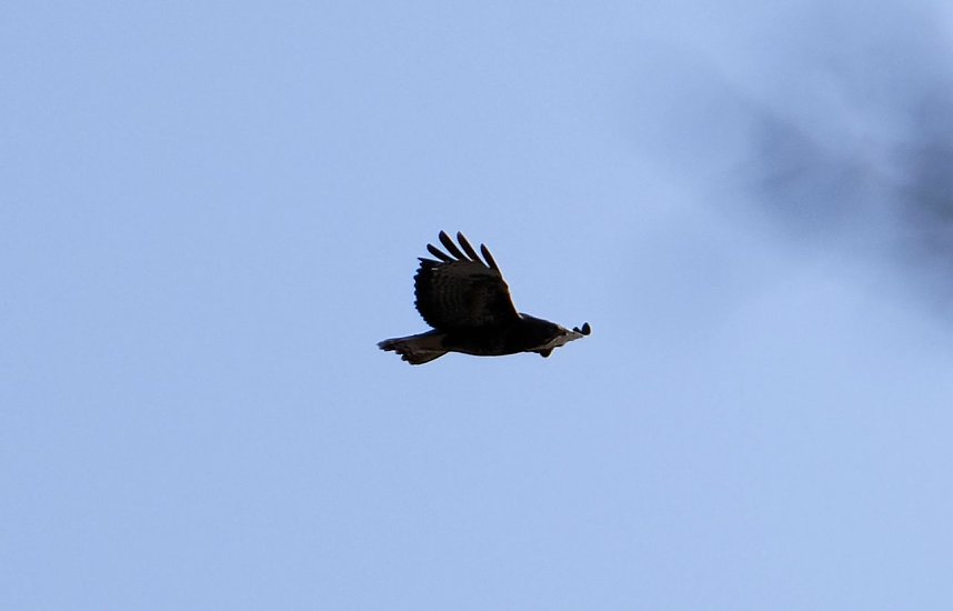 Peter Blei unterwegs im Park Hohenrode