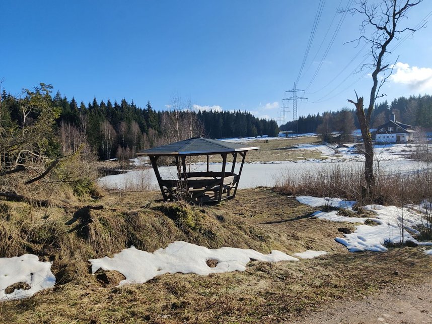 Peter Blei unterwegs im Birkenmoor