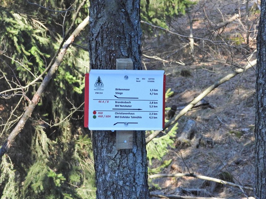 Peter Blei unterwegs im Birkenmoor