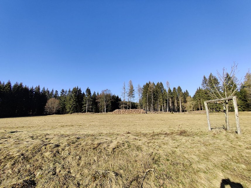 Peter Blei unterwegs im Birkenmoor