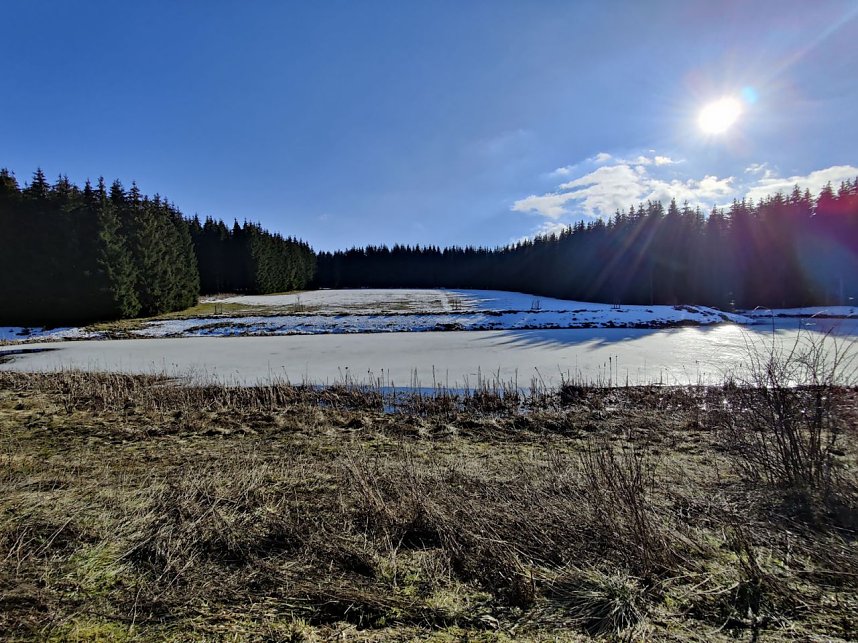 Peter Blei unterwegs im Birkenmoor