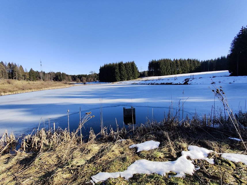 Peter Blei unterwegs im Birkenmoor