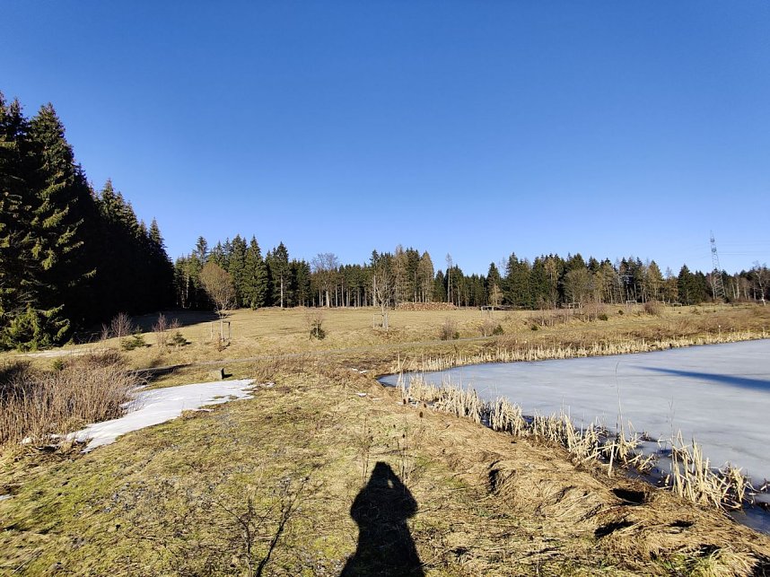 Peter Blei unterwegs im Birkenmoor