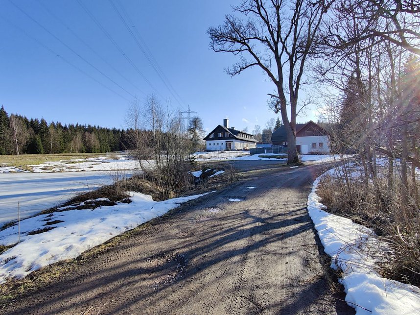 Peter Blei unterwegs im Birkenmoor