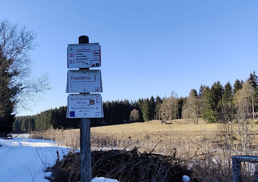 Peter Blei unterwegs im Birkenmoor