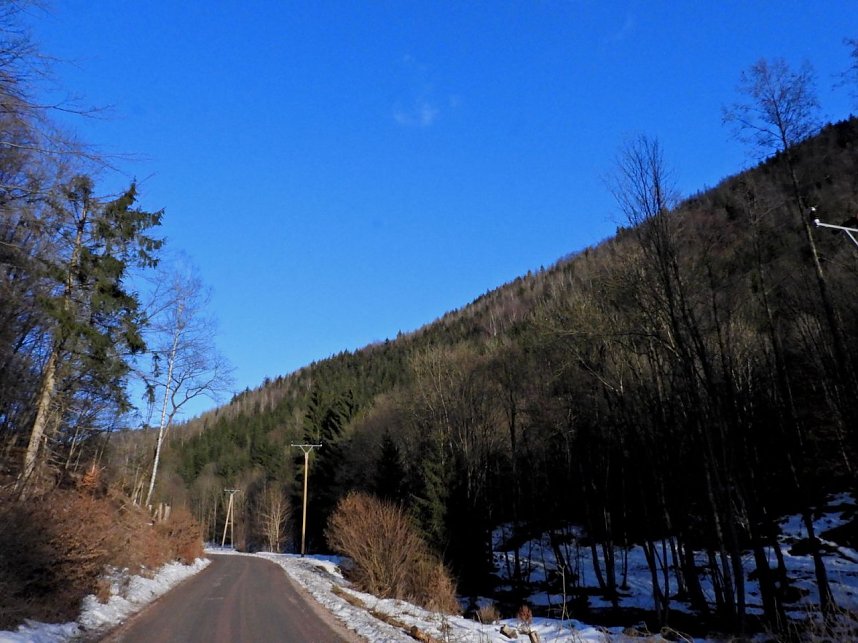 Peter Blei unterwegs im Birkenmoor