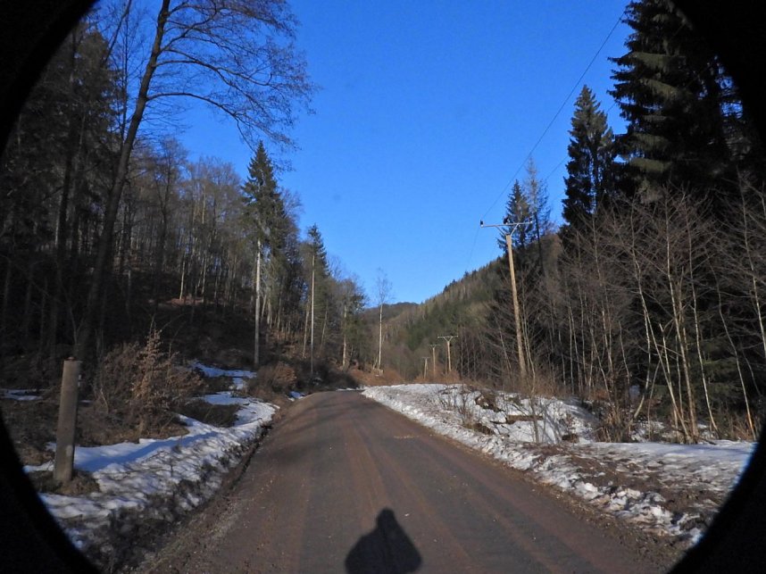 Peter Blei unterwegs im Birkenmoor