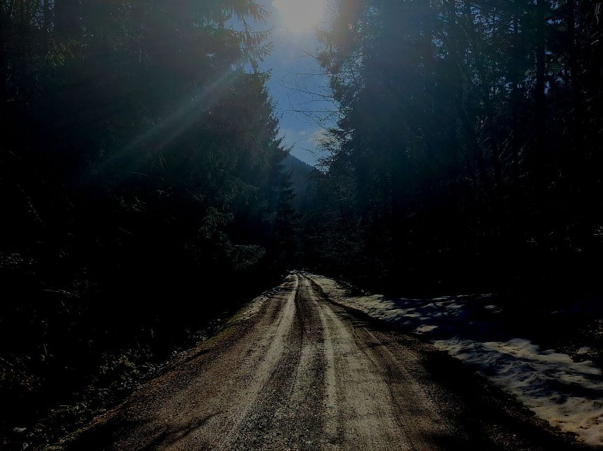 Peter Blei unterwegs im Birkenmoor