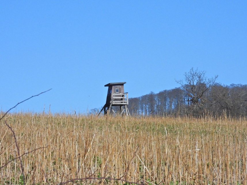 Peter Blei unterwegs am zugefrorenen Rostenteich