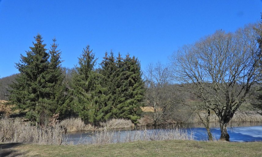 Peter Blei unterwegs am zugefrorenen Rostenteich