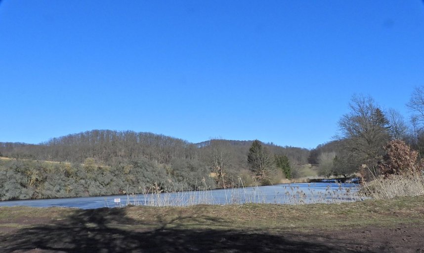 Peter Blei unterwegs am zugefrorenen Rostenteich