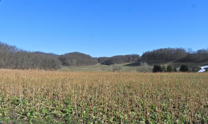 Peter Blei unterwegs am zugefrorenen Rostenteich