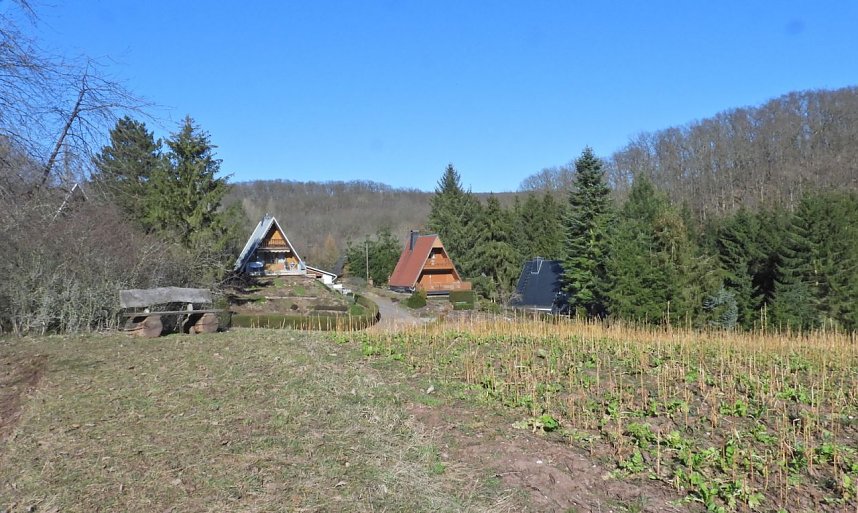 Peter Blei unterwegs am zugefrorenen Rostenteich