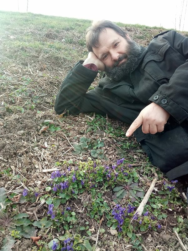 Blaue Veilchen - aber wo?