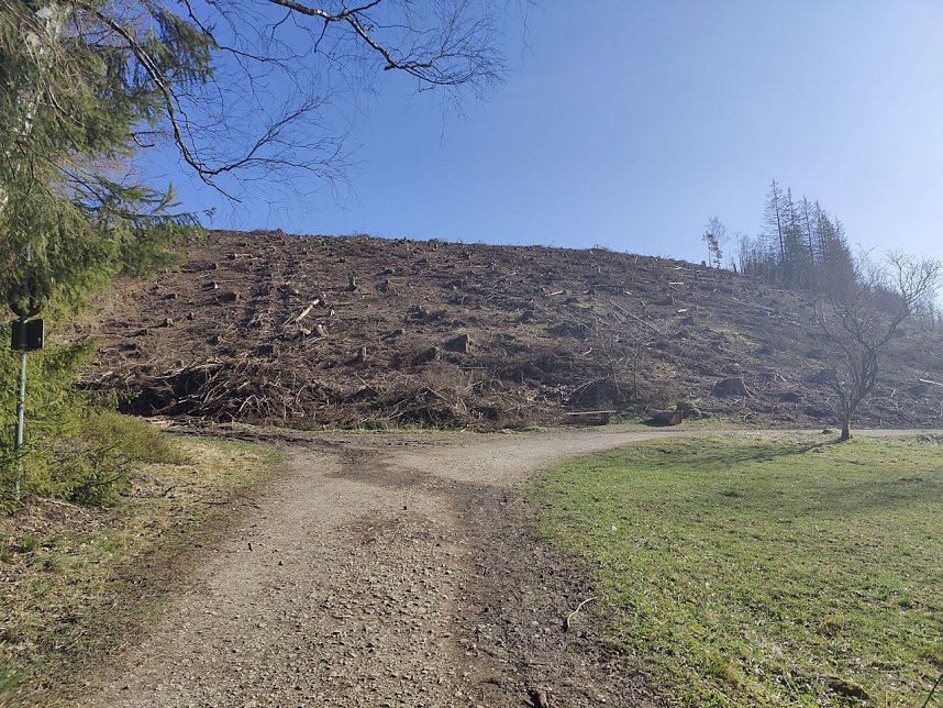 Osterspaziergang mit Peter Blei