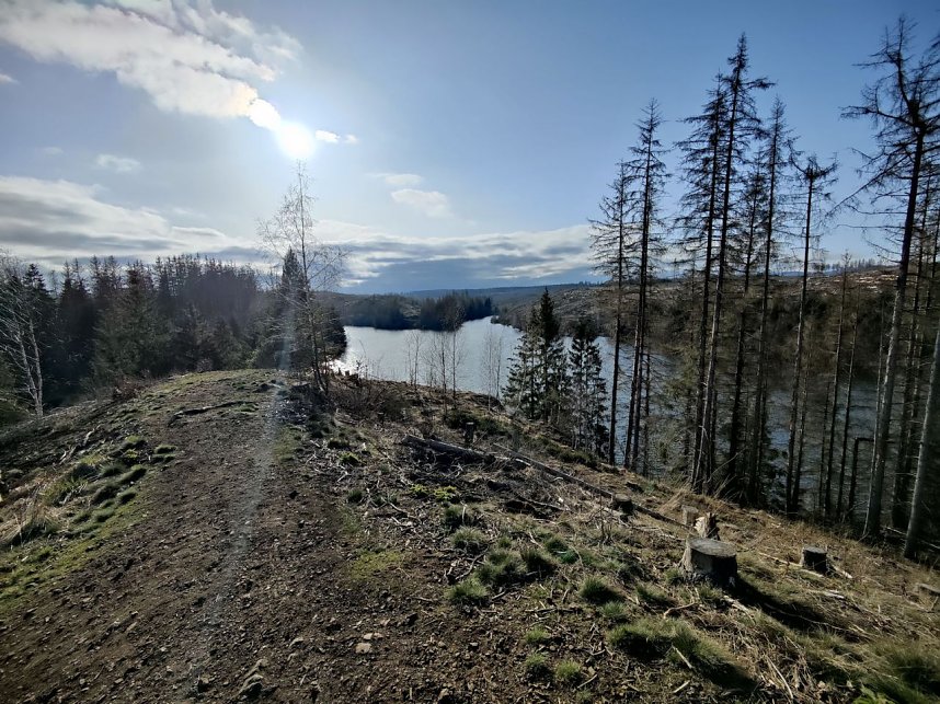 Osterspaziergang mit Peter Blei