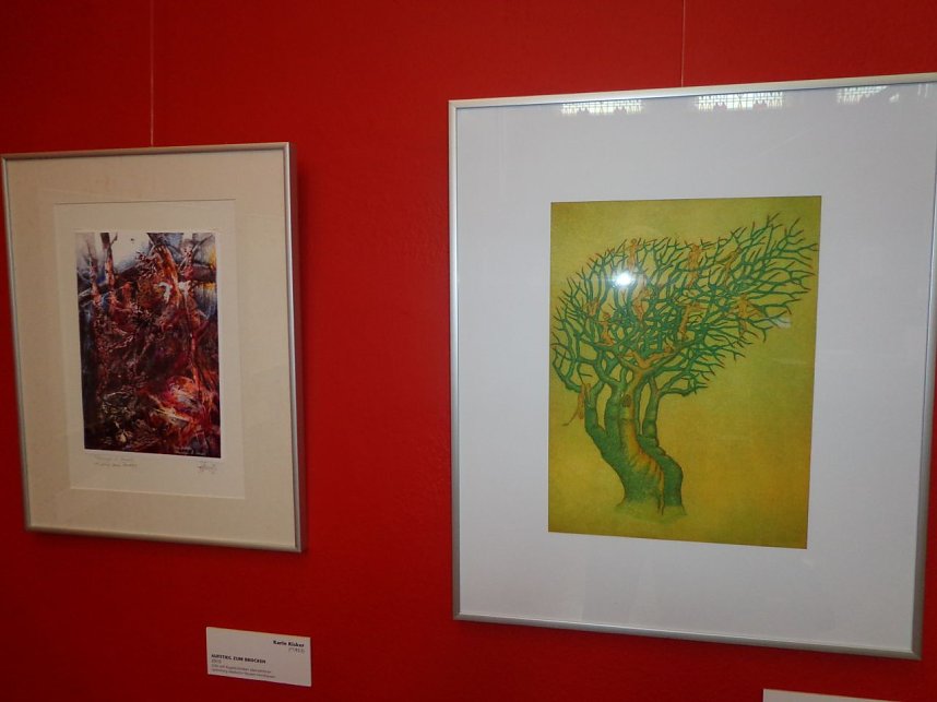 Die Kunst der Frauen im Meyenburgmuseum