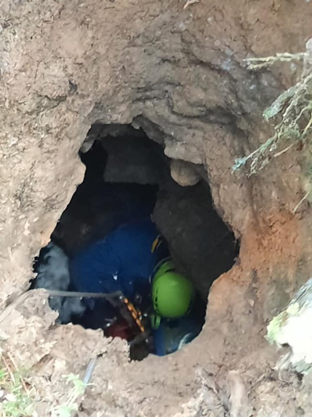 Die Retter der Bergwacht Ellrich konnten Cleo schlie&szlig;lich aus dem Erdfall befreien