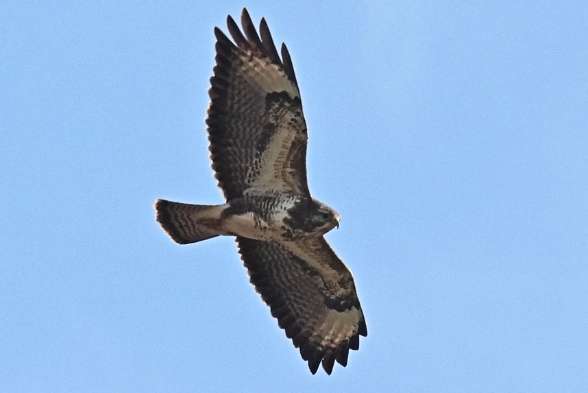 Ausflug in die Windl&uuml;cke