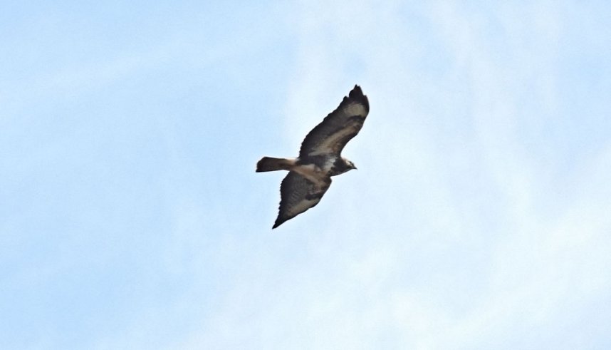 Ausflug in die Windl&uuml;cke