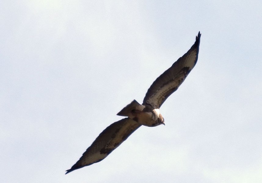 Ausflug in die Windl&uuml;cke
