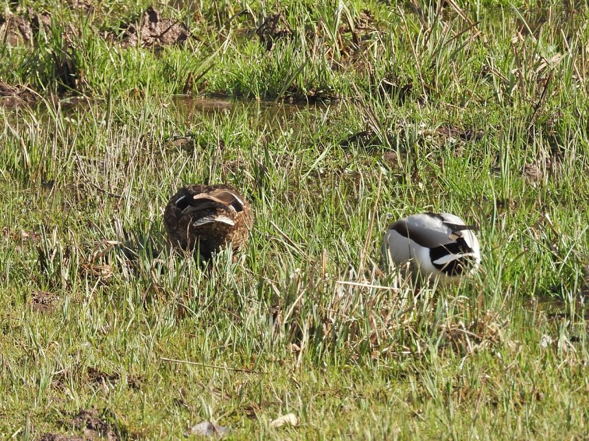 Ausflug in die Windl&uuml;cke